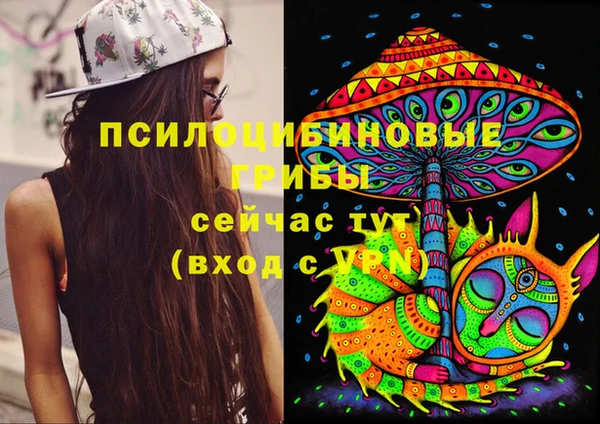 мдма Дмитриев