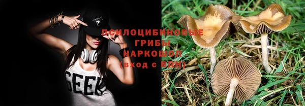 не бодяженный Дмитровск