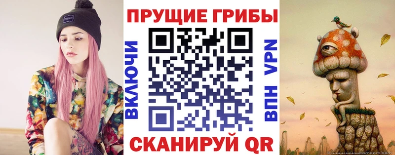 Купить где  Оха  Псилоцибиновые грибы ЛСД 
